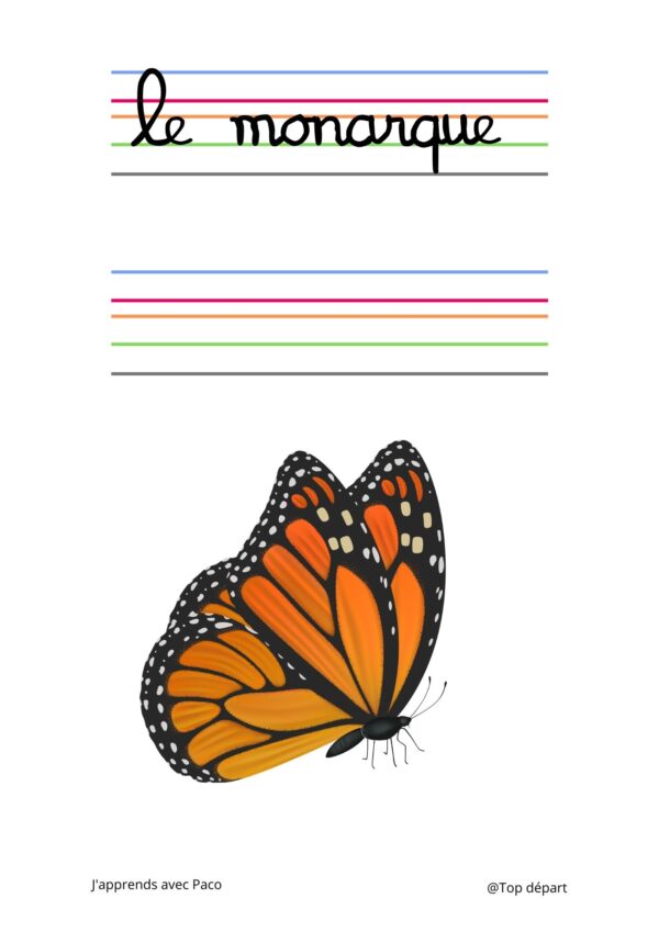 fiche d'écriture sur le papillon Monarque issu d'un outil pédagogique sur l'Amérique du Nord