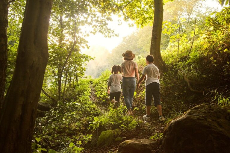 Lire la suite à propos de l’article L’art de suivre les animaux de la forêt : Apprenez à identifier les empreintes avec vos enfants !