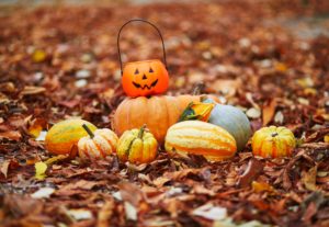 Lire la suite à propos de l’article L’Histoire et l’Origine d’Halloween : Une Plongée dans le Passé