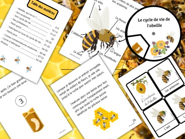 L'abeille pack de fiches d'activité