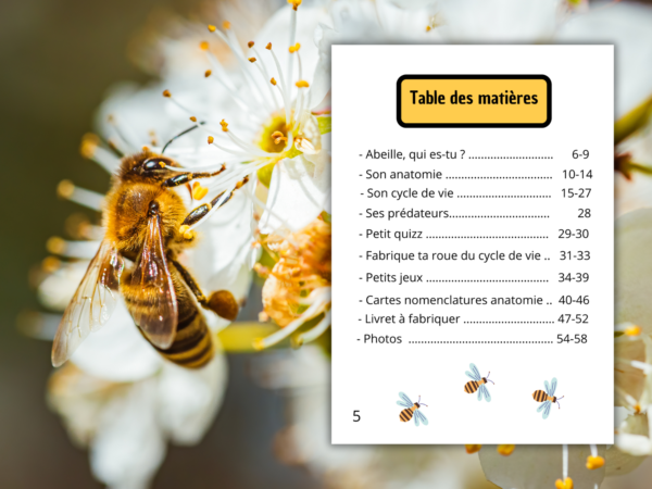 L'abeille table des matières fichier éducatif