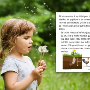 Dossier Pissenlit : 40 pages d’activités pédagogiques (GS, CP, CE1) à imprimer