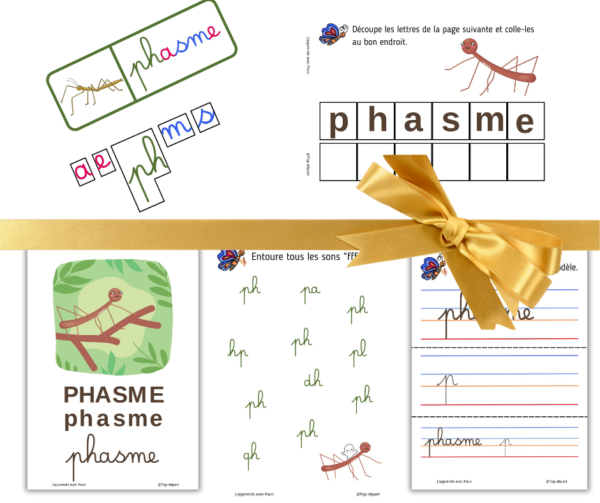 fiches activité phasme