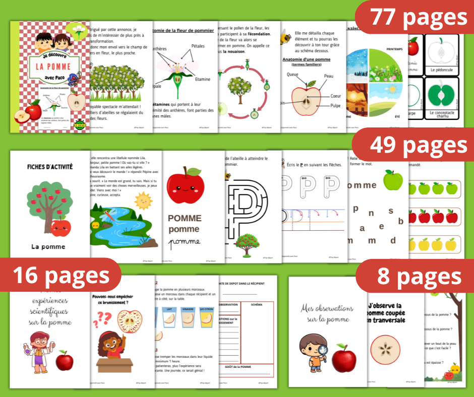 Méga pack de 150 fiches pour découvrir la pomme