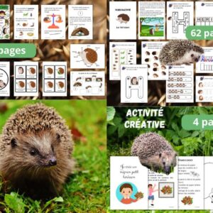 Cycle de vie du Hérisson : Pack Pédagogique (GS-CP-CE1) | 119 Pages PDF