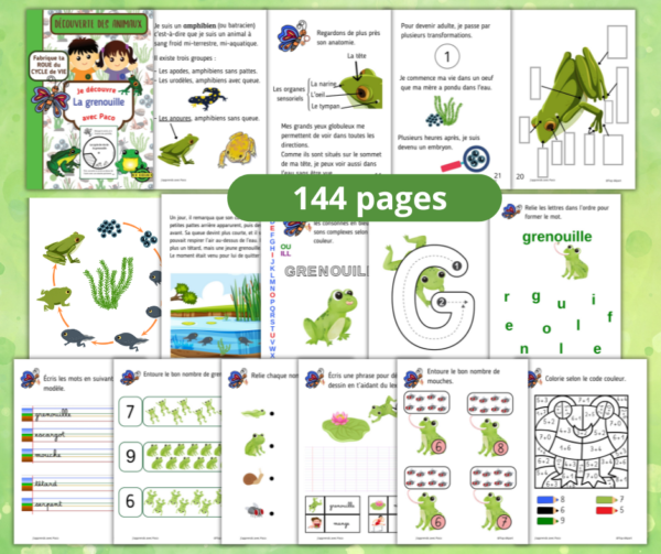 La grenouille cycle de vie