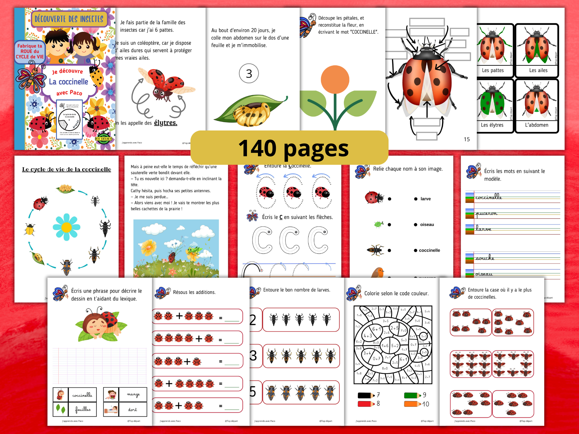 coccinelle pack 140 fiches d'activités