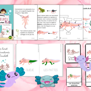 L’Axolotl, je la découvre avec Paco