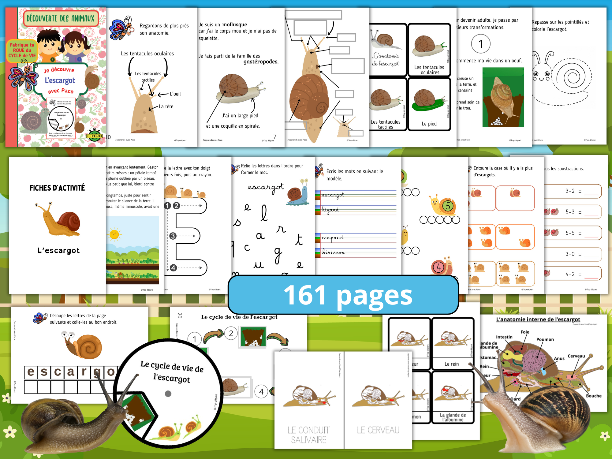 Lot de fiches d'activités pour les enfants sur l'escargot