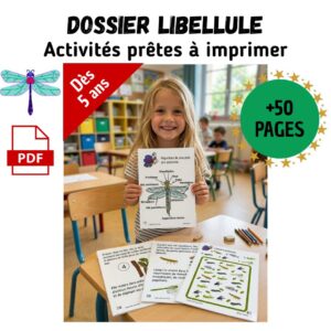 Dossier Libellule : +50 pages d’activités pédagogiques (GS, CP, CE1) à imprimer