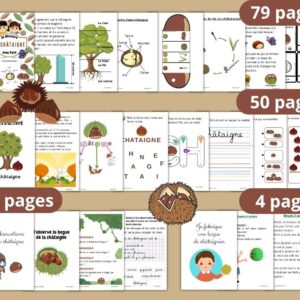 Cycle de vie de la Châtaigne : Pack Pédagogique (GS-CP-CE1) | 144 Pages PDF