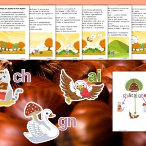 Cycle de vie de la Châtaigne : Pack Pédagogique (GS-CP-CE1) | 144 Pages PDF