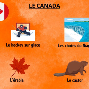 🦬 Amérique du Nord : Dossier Pédagogique Maternelle & CP | 150+ Pages PDF