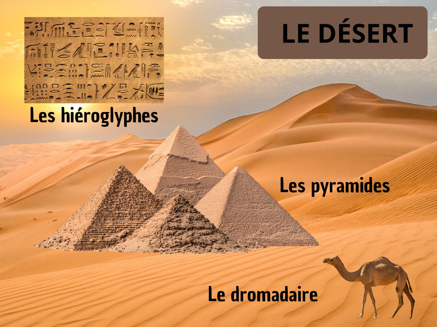 Fiche pédagogique sur le désert avec pyramides d'Égypte, dromadaire et hiéroglyphes.
