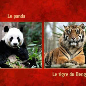 🐼 Asie : Dossier Pédagogique Maternelle & CP | 130+ Pages PDF