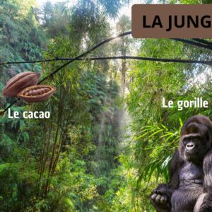 🦁 Afrique : Dossier Pédagogique Maternelle & CP | 170+ Pages PDF