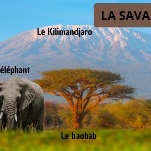 🦁 Afrique : Dossier Pédagogique Maternelle & CP | 170+ Pages PDF