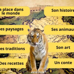 🐼 Asie : Dossier Pédagogique Maternelle & CP | 130+ Pages PDF