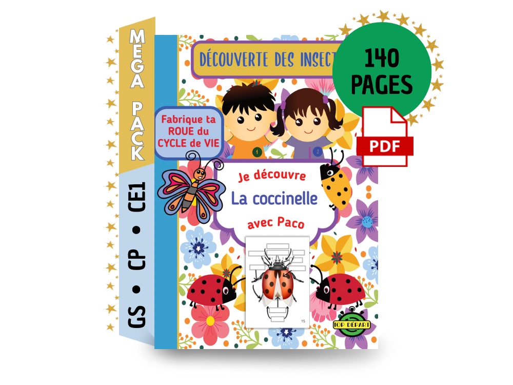 Couverture du dossier "Je découvre la coccinelle avec Paco" indiquant 140 pages et format PDF.