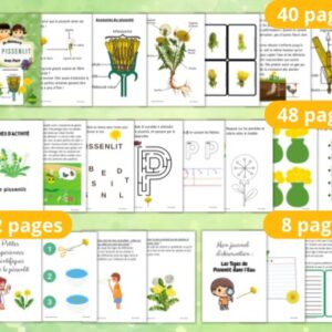 Cycle de vie du Pissenlit :  Pack Pédagogique (GS-CP-CE1) | 108 Pages PDF