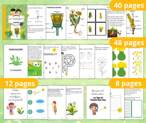 Aperçu des différentes sections du dossier : fiches d'exercices, anatomie, nomenclature et jeux sur le pissenlit.