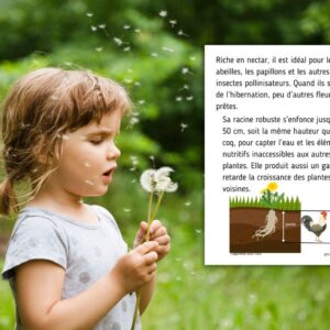 Cycle de vie du Pissenlit :  Pack Pédagogique (GS-CP-CE1) | 108 Pages PDF