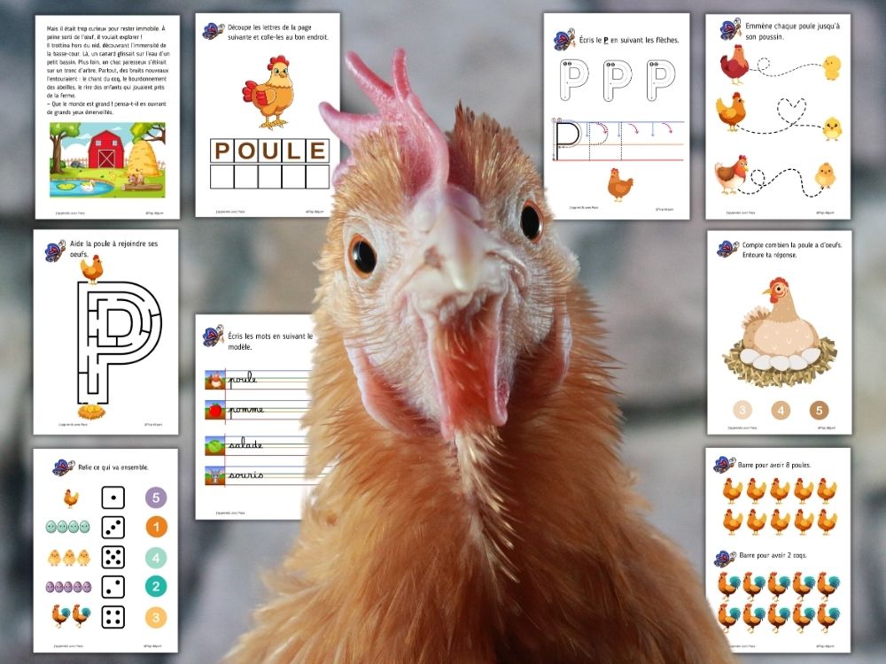Fiches pédagogiques pour enfants comprenant une petite histoire sur la poule, des exercices de graphisme (lignes à suivre) et d'écriture de la lettre P.