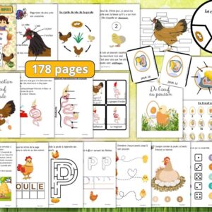 Cycle de vie de la Poule : Pack Pédagogique (GS-CP-CE1) | 178 Pages PDF