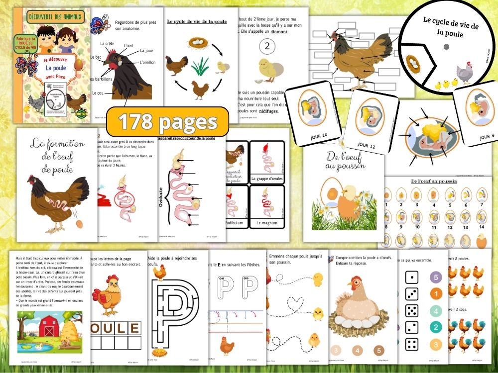 Montage visuel montrant la variété des fiches d'activités pédagogiques incluses dans le pack PDF : cycle de vie, traçage de lettres, mathématiques avec des dés, coloriages et étiquetage d'images.