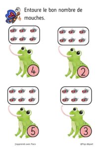 activité de calcul avec des grenouilles et des mouches