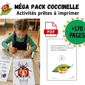 Cycle de vie de la Coccinelle : Pack Pédagogique (GS-CP-CE1) | 140 Pages PDF