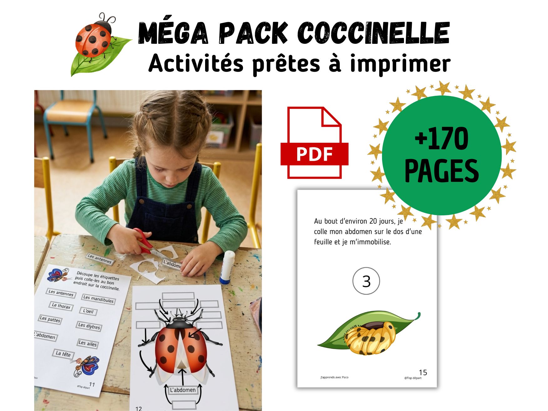 Jeune enfant découpant des étiquettes pour une activité pédagogique sur l'anatomie de la coccinelle, issue d'un pack PDF de 170 pages.