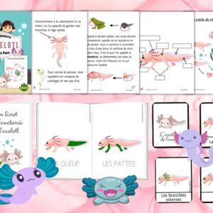 Dossier Axolotl : +50 pages d’activités pédagogiques (GS, CP, CE1) à imprimer