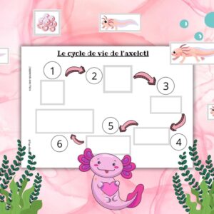 Dossier Axolotl : +50 pages d’activités pédagogiques (GS, CP, CE1) à imprimer