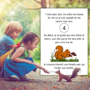 Dossier Écureuil : 50 pages d’activités pédagogiques (GS, CP, CE1) à imprimer