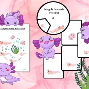 Dossier Axolotl : +50 pages d’activités pédagogiques (GS, CP, CE1) à imprimer