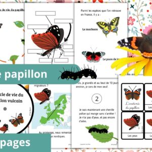 Dossier Papillon : +60 pages d’activités pédagogiques (GS, CP, CE1) à imprimer