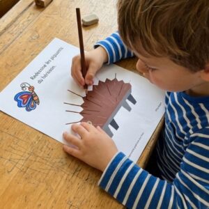 Graphisme Maternelle MS GS : 60+ Fiches de Motricité Fine avec Paco