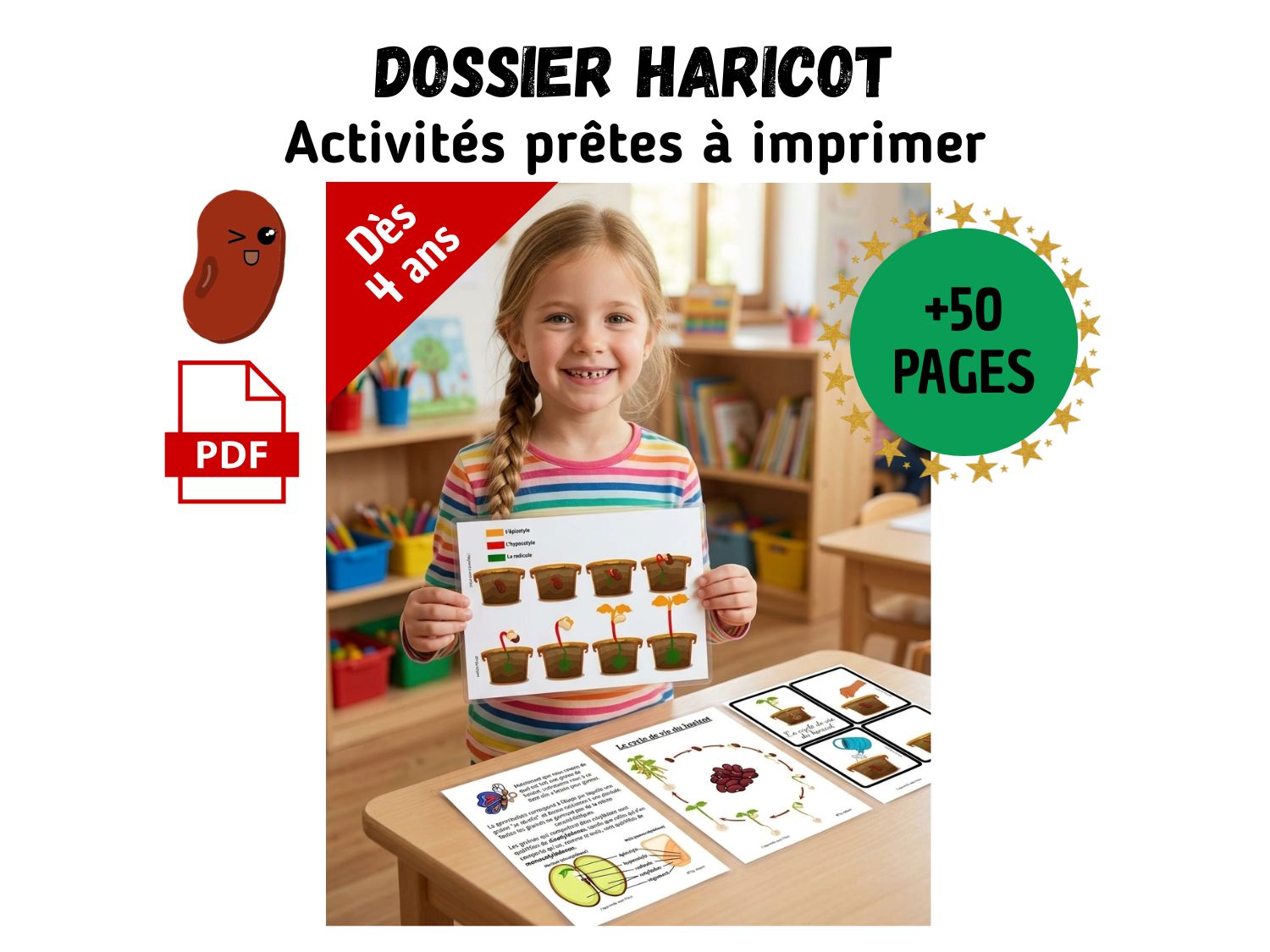 Dossier de fiches d'activités pédagogiques à imprimer sur le thème du haricot pour enfants dès 4 ans.