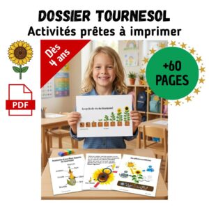 Dossier Tournesol : +60 pages d’activités pédagogiques (GS, CP, CE1) à imprimer