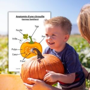 Dossier Citrouille : 90 pages d’activités pédagogiques (GS, CP, CE1) à imprimer