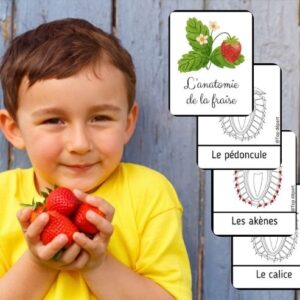 Dossier Fraise : +40 pages d’activités pédagogiques (GS, CP, CE1) à imprimer