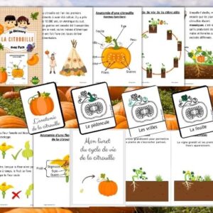 Dossier Citrouille : 90 pages d’activités pédagogiques (GS, CP, CE1) à imprimer