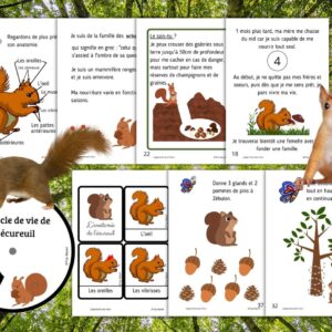 Dossier Écureuil : 50 pages d’activités pédagogiques (GS, CP, CE1) à imprimer