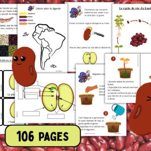 Cycle de vie du Haricot : Pack Pédagogique (GS-CP-CE1) | +100 Pages PDF