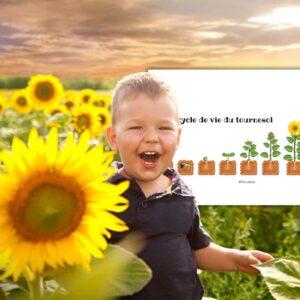 Dossier Tournesol : +60 pages d’activités pédagogiques (GS, CP, CE1) à imprimer