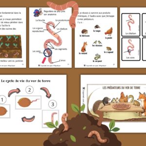 Dossier Ver de Terre : +40 pages d’activités pédagogiques (GS, CP, CE1) à imprimer