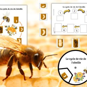 Dossier Abeille : +50 pages d’activités pédagogiques (GS, CP, CE1) à imprimer