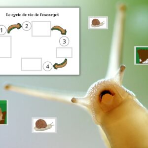 Dossier l’Escargot : +50 pages d’activités pédagogiques (GS, CP, CE1) à imprimer