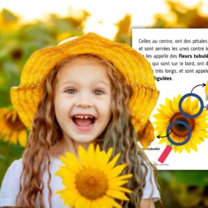 Dossier Tournesol : +60 pages d’activités pédagogiques (GS, CP, CE1) à imprimer